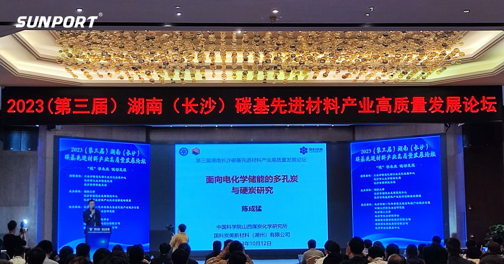 长沙尊龙中国官网智能参加湖南碳基先进材料高质量发展论坛